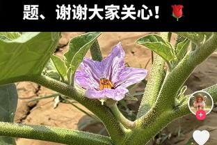 高效表现！艾顿半场11中7拿到14分4篮板&首节10分